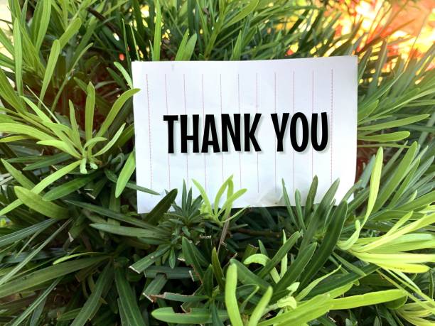istock white paper on a leaf background with the word thank you 1447321657