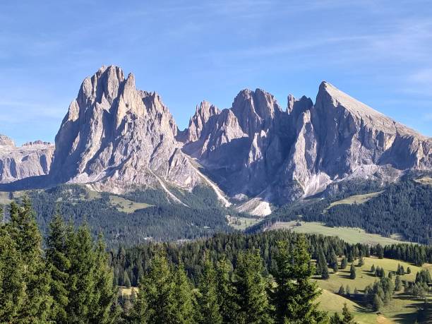 istock Aerial view of forested mountains 1447326450