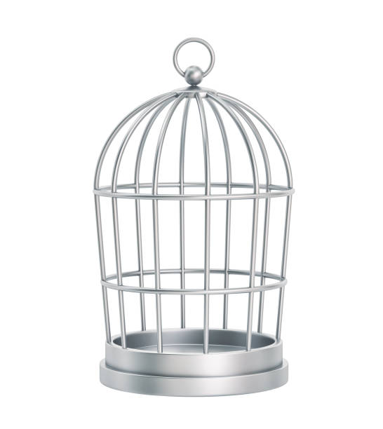 istock Silver bird cage isolated on white. Clipping path included 1447326754
