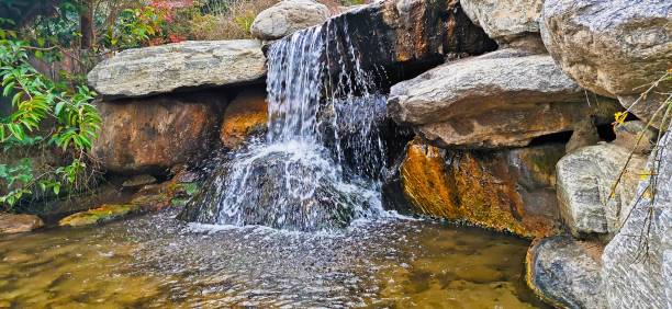 istock Closeup of a beautiful small waterfall on rusty rocks surrounded by plants 1447327408