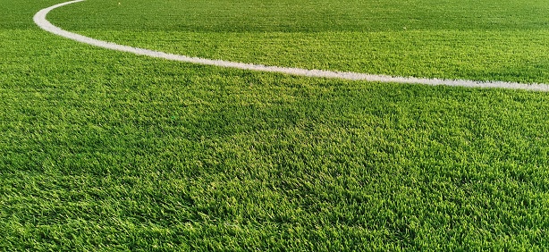 The central section of a football field with fresh grass