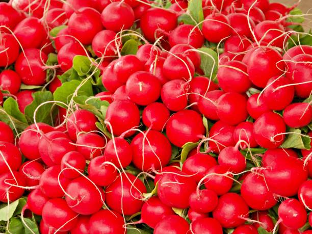 istock Full Frame Shot Of Red Radish 1447333333