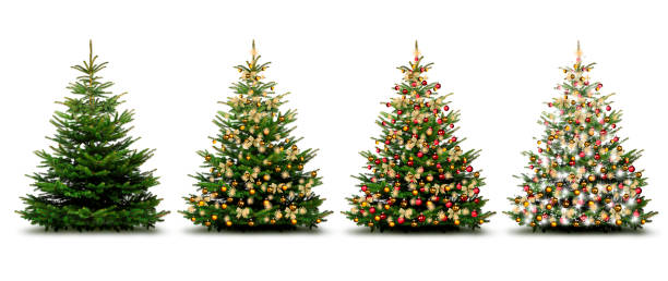 istock Christmas trees with golden bows 1447339231