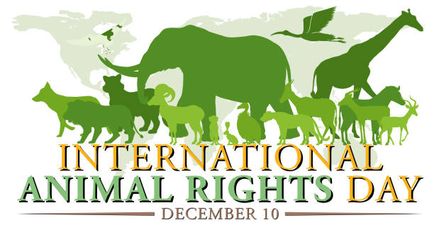 istock International Animal Rights Day banner design 1447340530