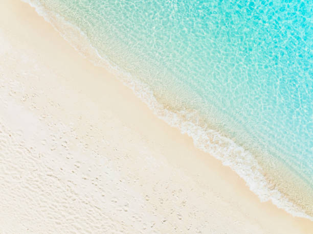 istock The ecology system with a wave water energy on the beach with a summer tropical background , Aerial view 1447341507