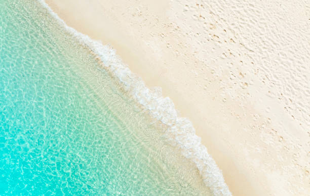 istock The ecology system with a wave water energy on the beach with a summer tropical background , Aerial view 1447341608