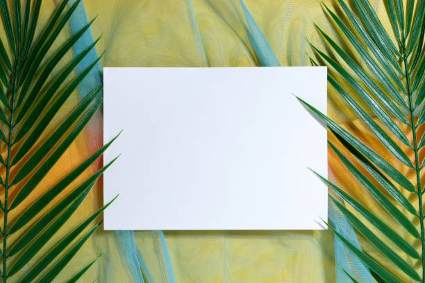 istock Tropical exotic palm branches frame. Flat lay, top view, mockup 1447341796
