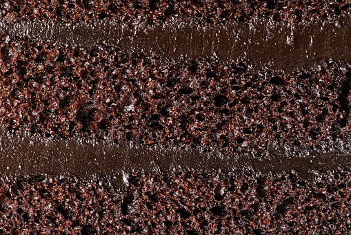 Extreme closeup side view of texture of delicious chocolate sponge cake background, horizontal full frame format.