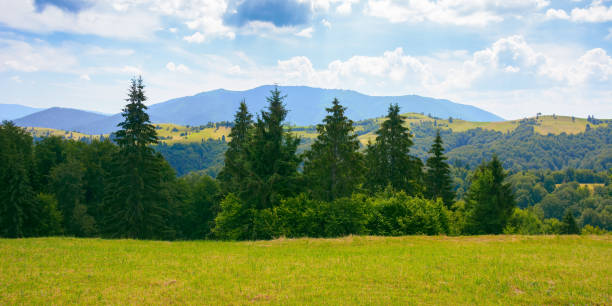 istock countryside landscape on a sunny summer day 1447353988