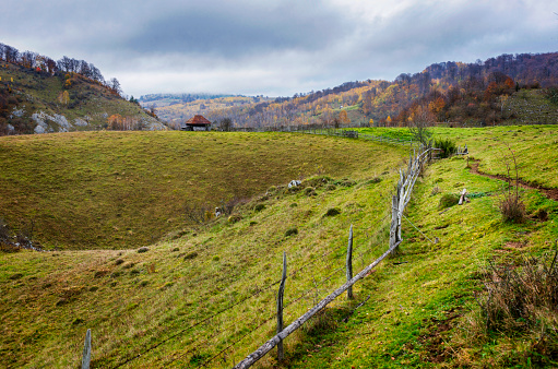 A valley in the Carpathian Mountains. Transylvania, Romania, Europe.