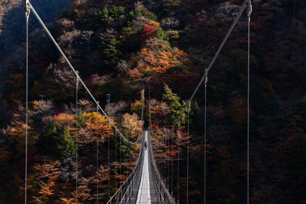 istock Autumn leaves and suspension bridge 1447356552