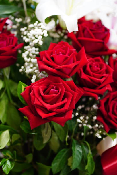 ramo bonito de flores vermelhas de verão em um vaso - roses in a vase - fotografias e filmes do acervo