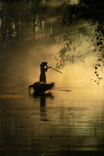 Asian village lifestyle, a local male boatman wearing conical hat rowing a wood boat across a small river during sunset time in a bamboo forest to deliver some dry grass for animal feed