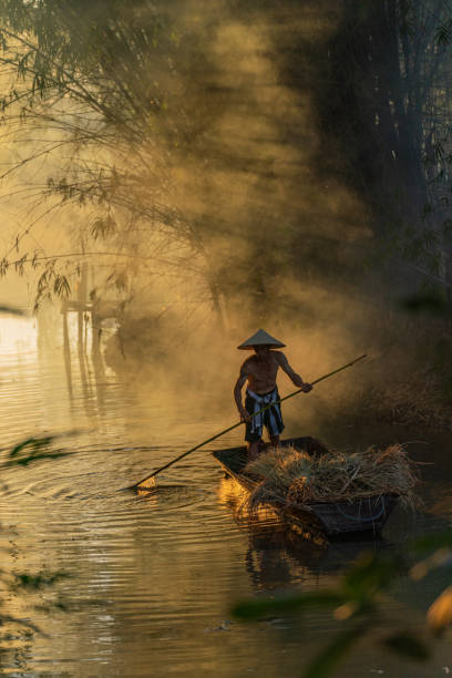 Asian village lifestyle, a local male boatman wearing conical hat rowing a wood boat across a small river during sunset time in a bamboo forest to deliver some dry grass for animal feed silueta de estilo de vida de pueblo asiático, un barquero local con sombrero cónico remando un bote de madera a través de un pequeño río durante la puesta del sol en un bosque de bambú para entregar un poco de hierba seca para la alimentación animal