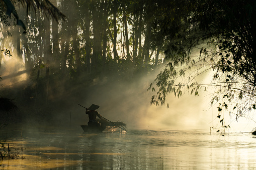 Asian village lifestyle, a local male boatman wearing conical hat rowing a wood boat across a small river during sunset time in a bamboo forest to deliver some dry grass for animal feed