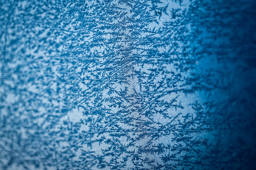 Ice Crystallization In Winter Macrophotography