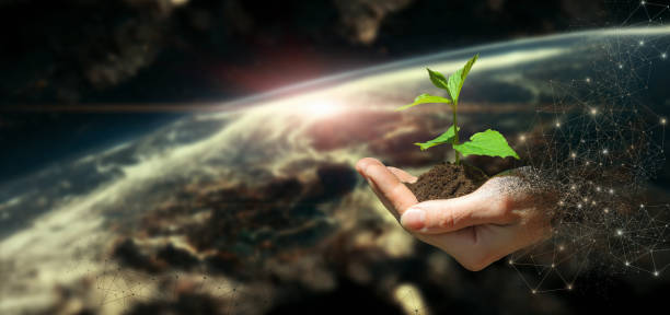 The concept of greening the planet. stock photo