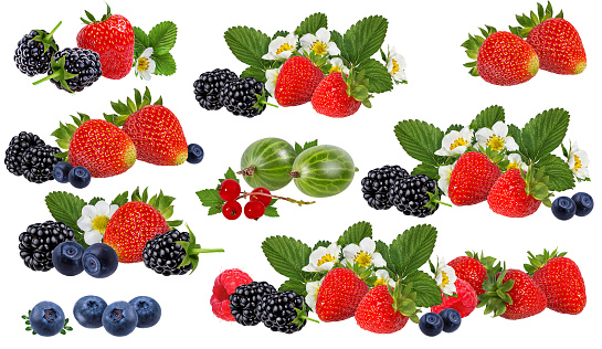 Various fresh forest berries on white background. Organic food concept. Top view