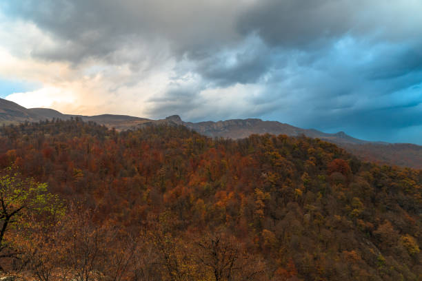 Serene autumn nature showcasing mist-covered forested hills with vivid foliage under a cloudy sky. Ideal for seasonal and nature-inspired projects capturing the beauty of fall's vibrant colors.