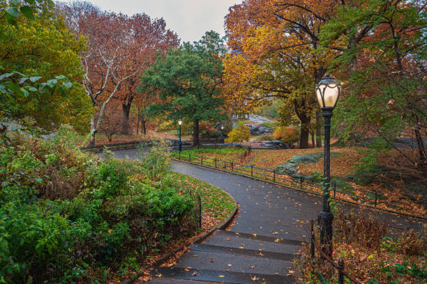 istock Autumn in Central Park raining morning 1447361139