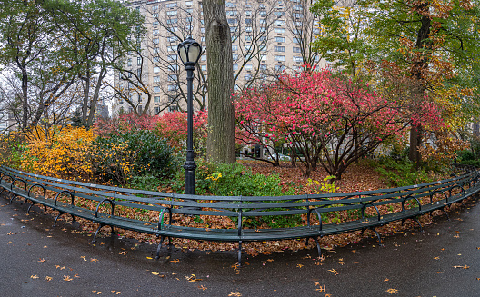 Central Park, New York City in autumn on rainy morning