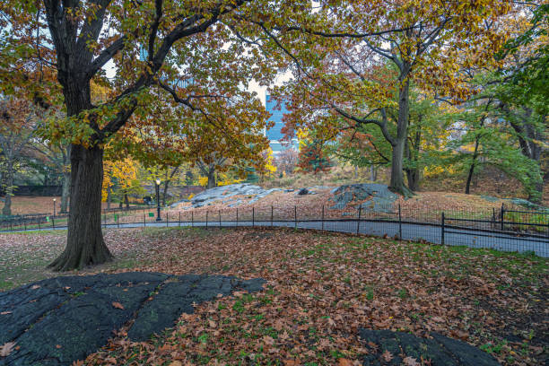 istock Autumn in Central Park raining morning 1447361342