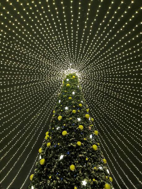 istock Decorated Christmas tree in the park in the dark. Bottom view. 1447369878