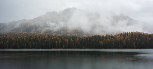 vista panorámica de niebla y nubes sobre el lago st moritz, suiza - european larch fotografías e imágenes de stock