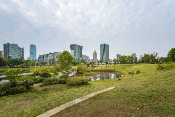 istock Sunny Modern City 1447370684
