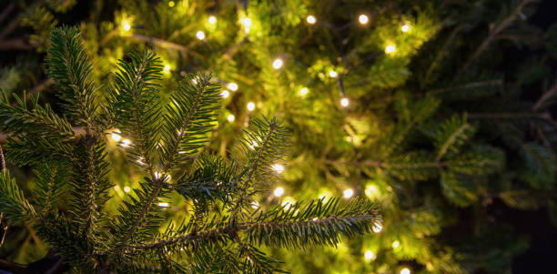 istock Christmas tree and Xmas lights decoration close up, copy space. 1447371631