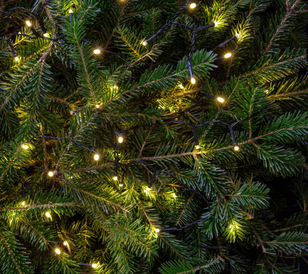 istock Christmas tree and Xmas lights decoration close up 1447371667