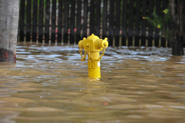 istock The yellow fire hydrant is flooded during the flood season 1447372277