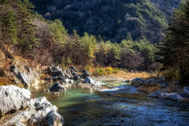 Nochusan mountain in Gangneung, Gangwondo with fresh creek water running through the mountain.
