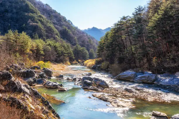 Nochusan mountain in Gangneung, Gangwondo with fresh creek water running through the mountain.