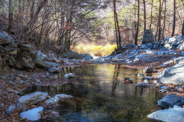 istock Nochusan mountain creek 1447379194