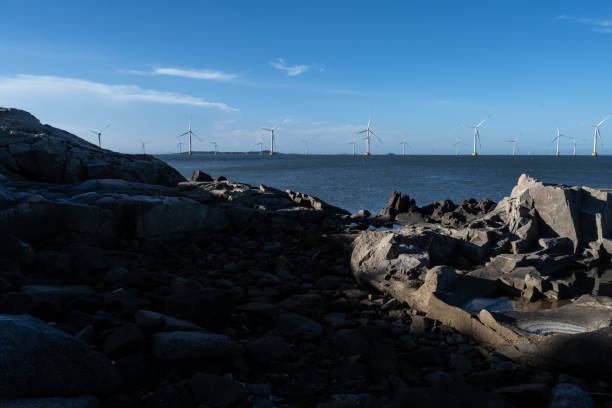 istock Wind power stations on the sea in clear weather 1447379462