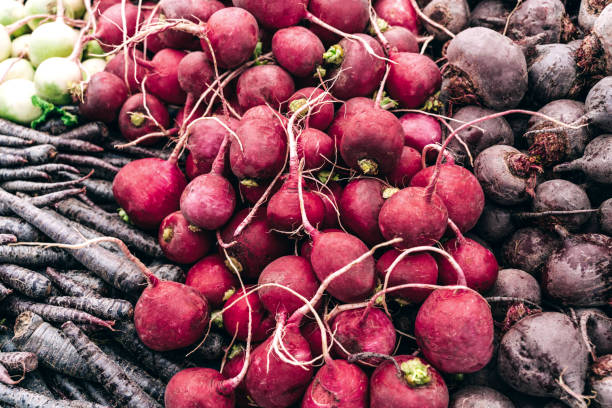 istock Vegetables black carrots, radishes and roots close-up. 1447386023