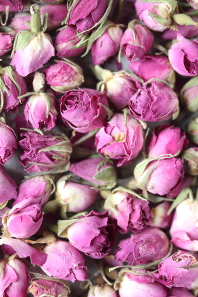 istock Dried rose buds ,whole dried pink  rose buds 1447390643