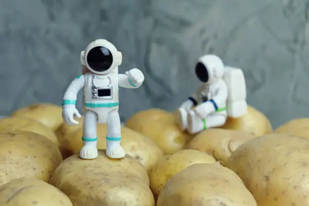 Photo of Plastic figurines of an astronauts in a spacesuit stands on the potato