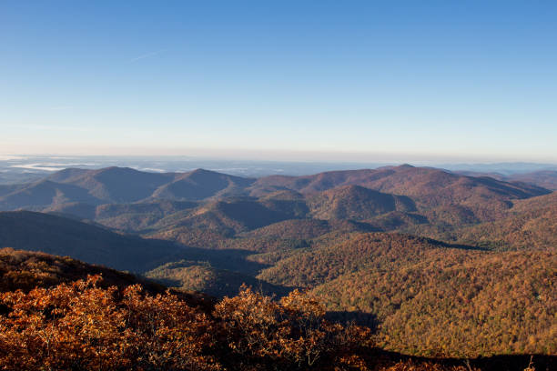 istock Panorama of Blue Ridge Mountains in Autumn 1447391206