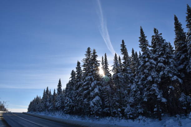 Un ciel bleu Une route de campagne en hiver, Québec Canada ciel bleu stock pictures, royalty-free photos & images