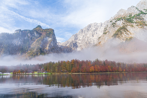 Autumn forest on Hintersee lake, Berchtesgaden, Germany.