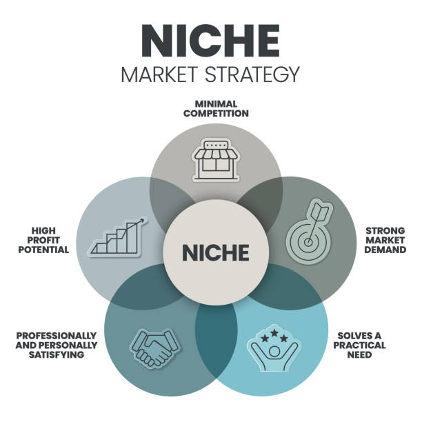 ilustrações de stock, clip art, desenhos animados e ícones de niche market strategy infographic presentation template with icons such as competition, market demand, practical need, high profit potential, professionally and personally satisfying. business vector. - customer pie chart demographic people