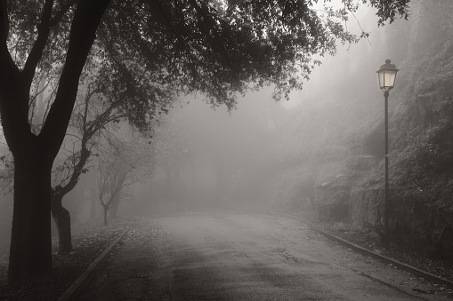 Foggy gray road, cars driving fading into the fog