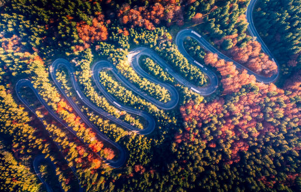 istock Bratocea Pass. Winding road in Carpathian Mountains, Romania 1447400561