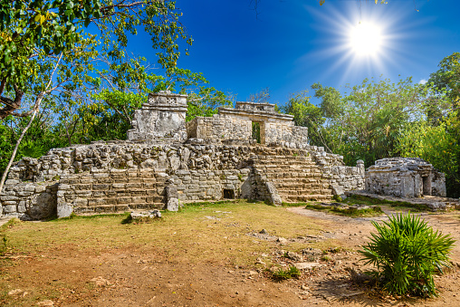 Mayan ruins in shadow of trees in jungle tropical forest Playa del Carmen, Riviera Maya, Yu atan, Mexico.