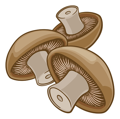 A cartoon vegetable illustration of 3 mushrooms.