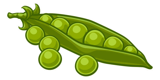 ilustrações de stock, clip art, desenhos animados e ícones de peas vegetable cartoon illustration - ervilha