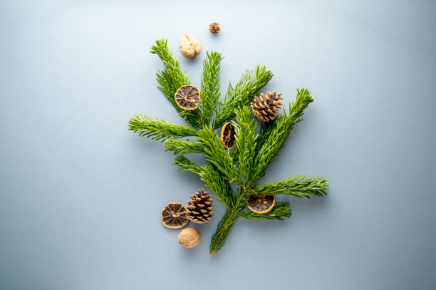 istock Christmas background with fir branches, pine cones, dried oranges and nuts, blue background. Winter template, copy space. 1447407332