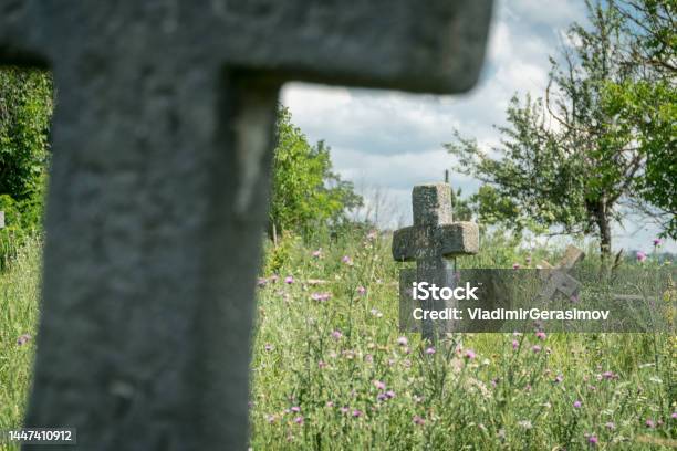 Old Abandoned Cemetary With Burials Of The Cossacks In Busha State Historical And Cultural Reserve Located In Busha Village On Podillya Vinnytsa Region Ukraine Stock Photo - Download Image Now